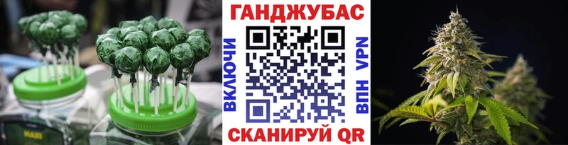 MEGA   Судак  Еда ТГК марихуана 