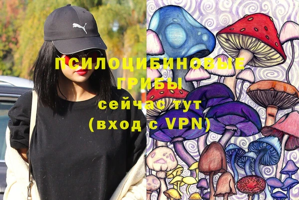 молекула духа Богданович