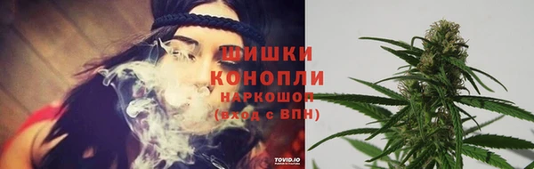 спиды Бугульма