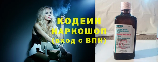 молекула духа Богданович