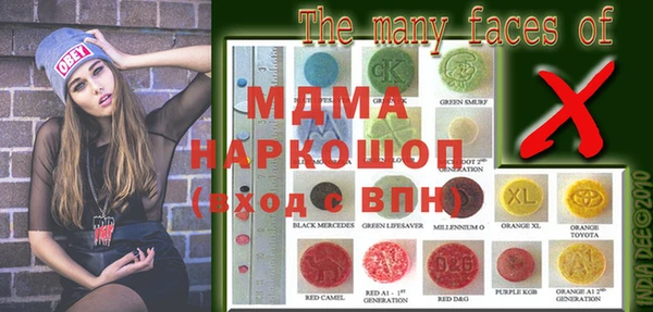 молекула духа Богданович