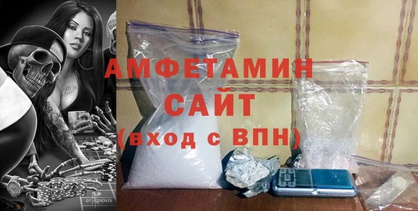 молекула духа Богданович