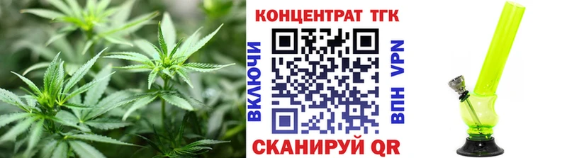 ТГК концентрат Судак