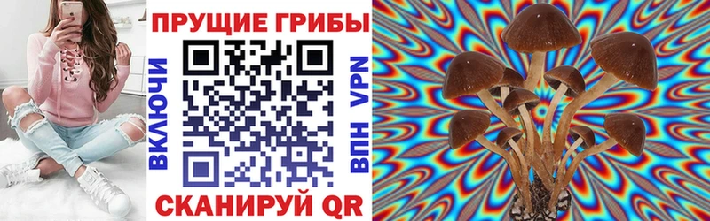 Псилоцибиновые грибы ЛСД  Судак 